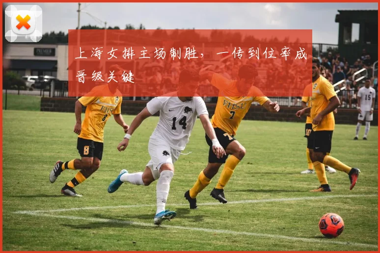 上海女排主场制胜，一传到位率成晋级关键