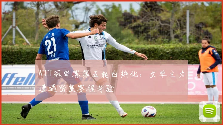 WTT冠军赛第五轮白热化，女单主力遭遇密集赛程考验