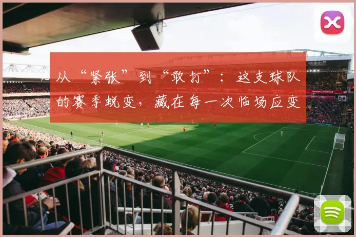 从“紧张”到“敢打”：这支球队的赛季蜕变，藏在每一次临场应变里